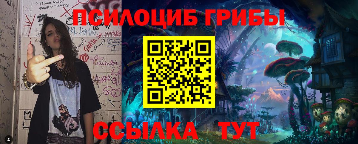 Псилоцибиновые грибы GOLDEN TEACHER  Вход с VPN  Псилоцибиновые грибы Psilocybine cubensis  продажа наркотиков  Алапаевск 