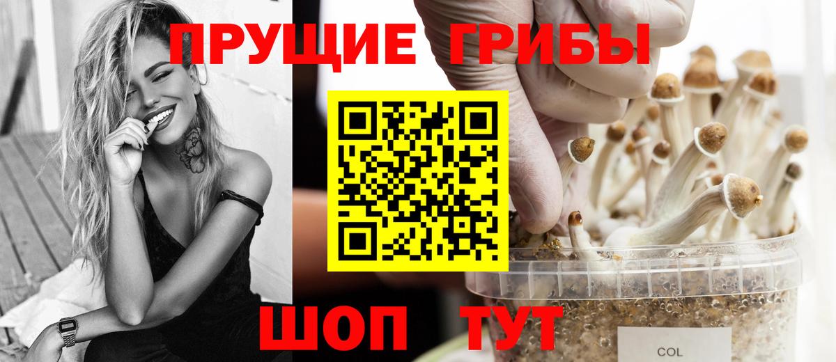 Псилоцибиновые грибы прущие грибы Алапаевск